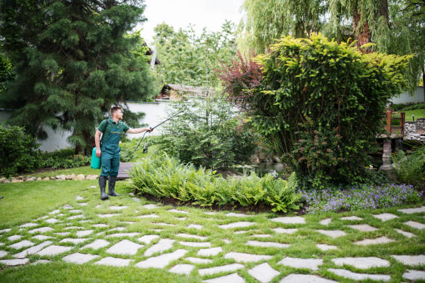 Best Best Pest Control Companies  in Alamae, NC